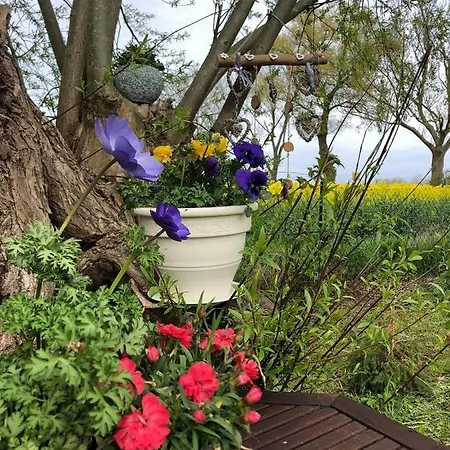 Guest house Radlerpension-boltenhagen